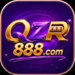QZR888 Game Logo icon photo
